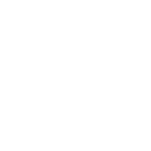 Partner 17