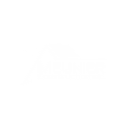Partner 31